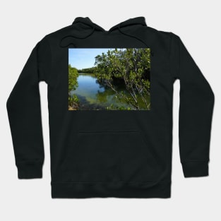 Mangroves on the water at Robinson Preserve in Florida Hoodie